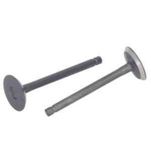 Kit de Válvulas de Admisión y Escape para Platina 125 – Rendimiento y Precisión | K353181600