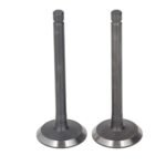 Kit de Válvulas de Admisión y Escape para Platina 125 – Rendimiento y Precisión | K353181600 - Imagen 2