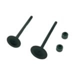Kit de Válvulas de Admisión y Escape para Platina 125 – Rendimiento y Precisión | K353181600 - Imagen 3